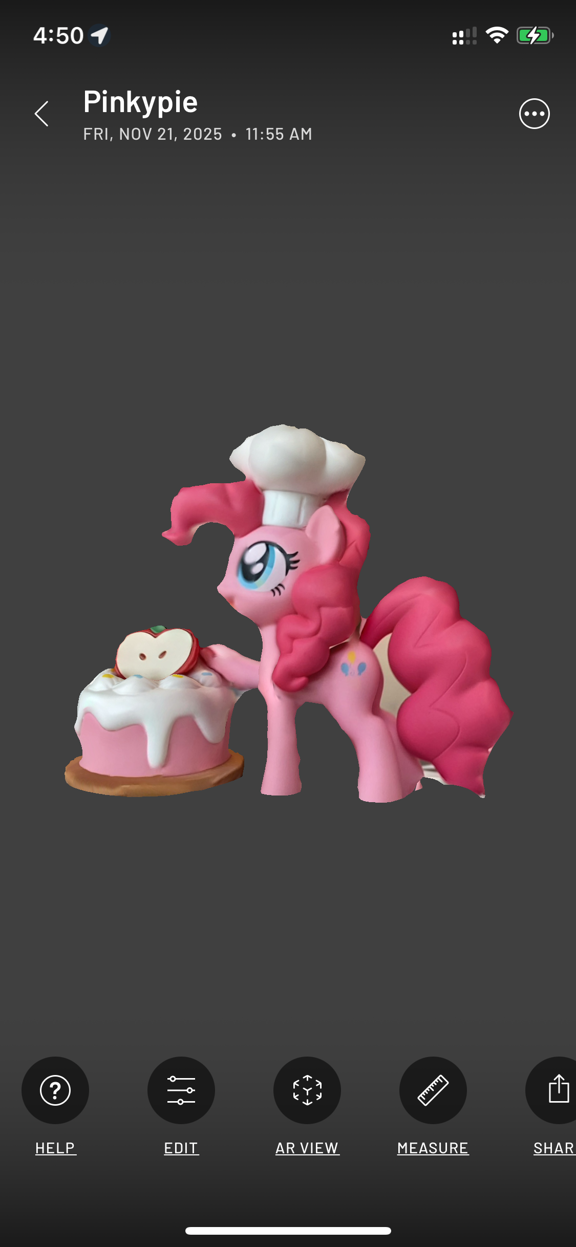 Scanned pony front view